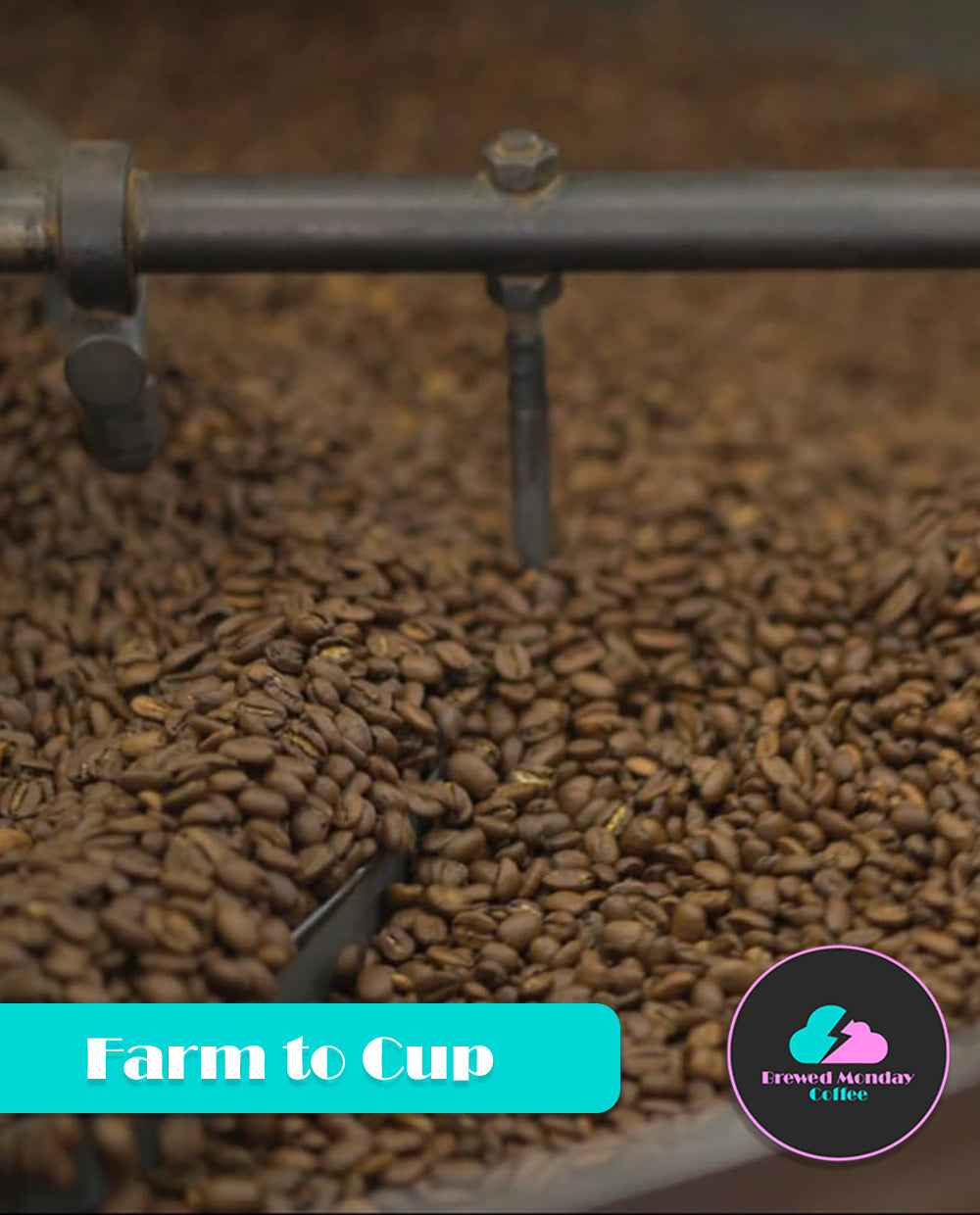 Colombia Natural Process Coffee