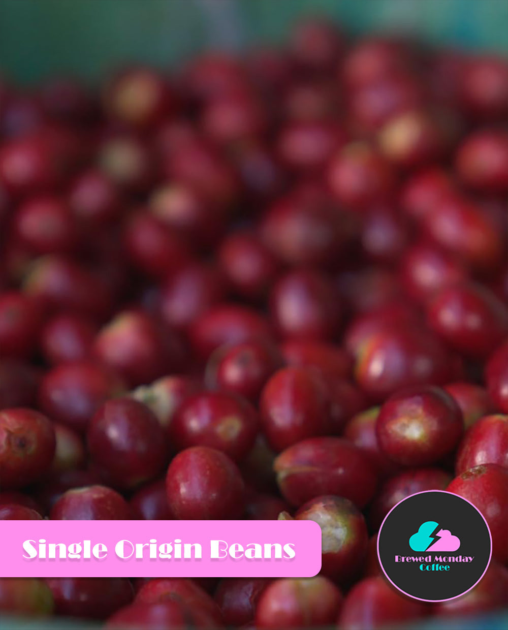 Colombia Natural Process Coffee
