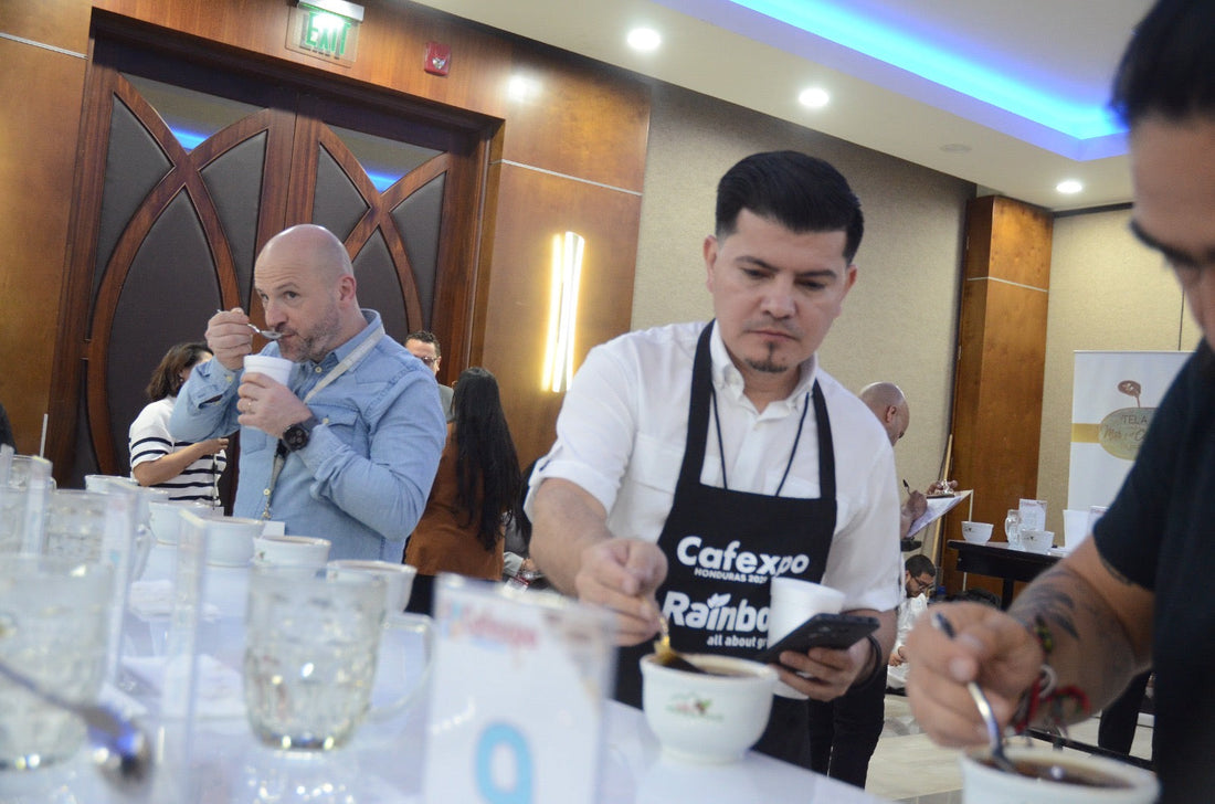 Brewed Monday Coffee’s Journey to the Source: Reflections on Cafexpo Honduras 2025