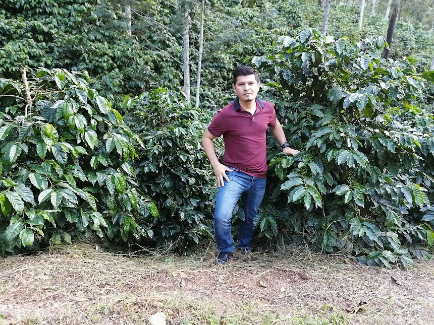 Ramón Reyes: From Passion to Legacy in Honduran Coffee