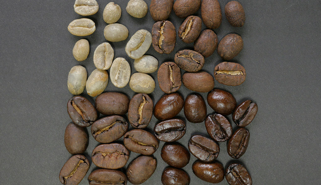 The Definitive Guide to Understanding the Different Types of Coffee Beans