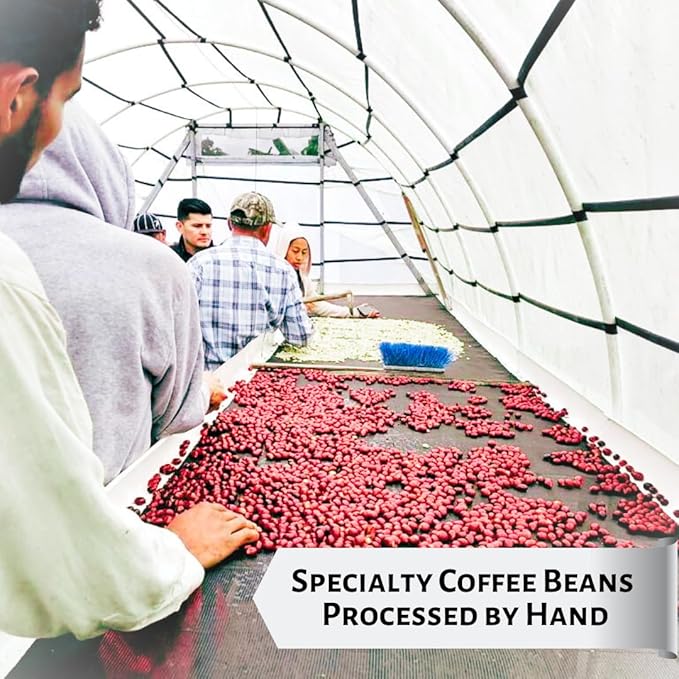 Honduras Honey Process Coffee