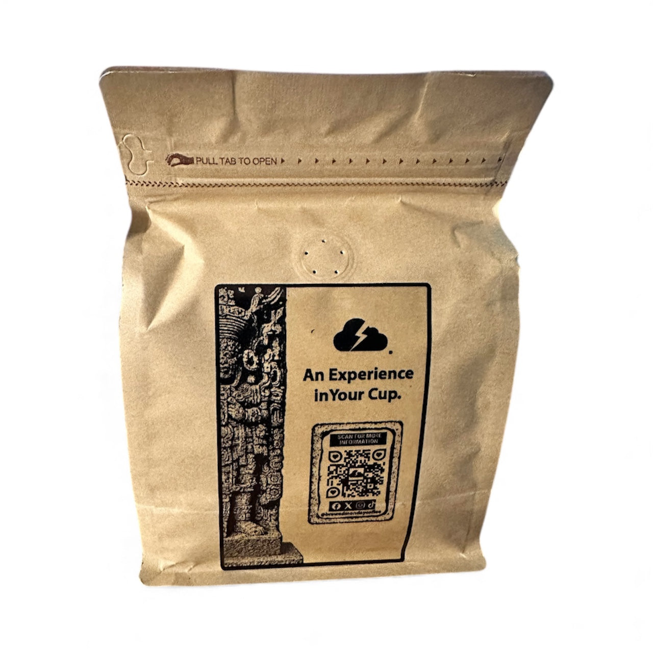 Copán, Honduras Washed Process