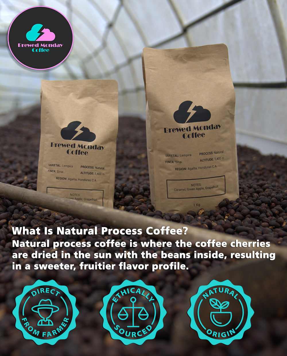 Honduras Natural Process Coffee